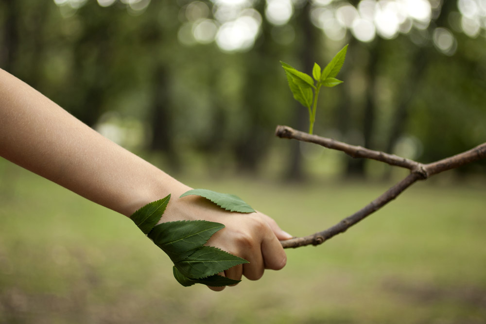 Treatment Applications